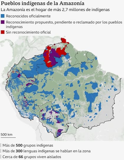 Fuente: RAISG (JUN 2025), The World Wide Fund For Nature (WWF, 2022)