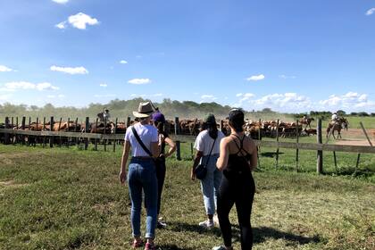Fuera de Buenos Aires, Lea afirma haber vivido grandes aventuras.