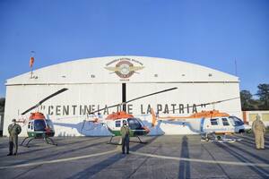 Patrullajes aéreos: las fuerzas federales incorporaron tres helicópteros