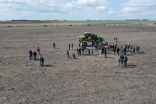 Malezas: de qué se trata “el gran golpe”