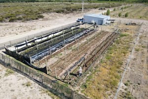 Los Gutiérrez plantaron pistachos donde nadie lo imaginaba y la zona ya es un rotundo éxito