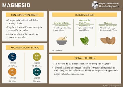 Funciones principales del magnesio y cómo adquirirlo de forma orgánica