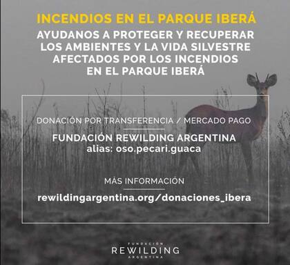 Fundación Rewilding aportará su ayuda para el ecosistema de Corrientes