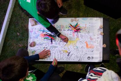 Fundación Vida Silvestre ha desarrollado desde 2018 más de 28 cursos gratuitos que abarcan temáticas como educación ambiental, cambio climático y especies amenazadas, con más de 17.000 alumnos alrededor del país