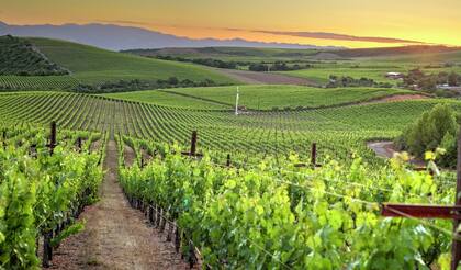 Fundada en 1933 por los hermanos Ernest y Julio Gallo, la empresa con sede en Modesto es la bodega familiar más grande de Estados Unidos