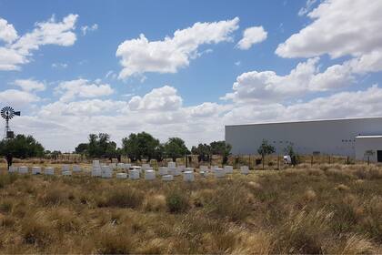 Fundada en 2012, la cooperativa reúne a apicultores, técnicos y científicos del sur de la provincia de Buenos Aires