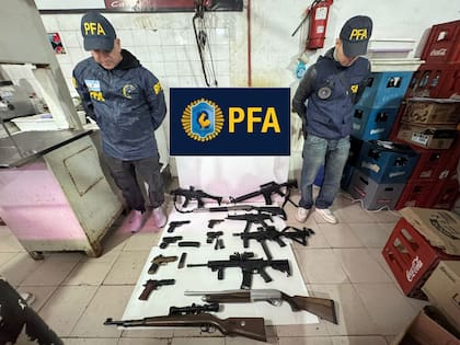 Fusiles, carabinas y pistolas