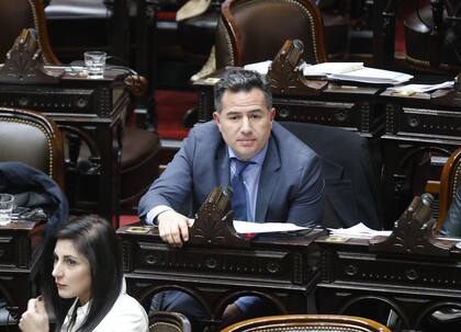 Gabriel Bornoroni, jefe de la bancada libertaria