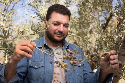 Gabriel Guardia es el enólogo de la olivícola desde 2012 y junto a su equipo logró llevar al aceite de oliva mendocino al podio internacional. 