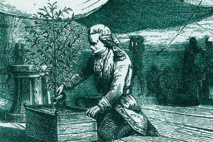 Gabriel-Mathieu Francois Dceus de Clieu transportó una planta de café (o tal vez varias) de los invernaderos del Jardin royal des plantes en París a Martinica en 1720