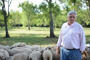 Gabriel Montiel en su establecimiento cerca de Posadas. Foto de gentileza Gabriel Montiel