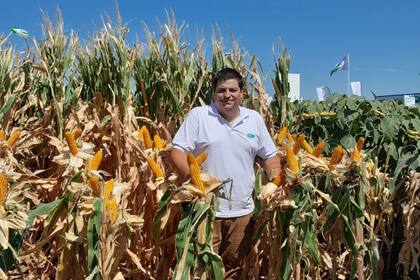 Gabriel Santachiara, de NK