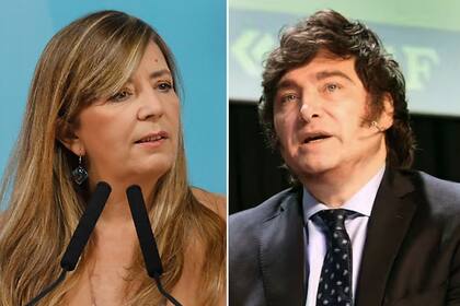 Gabriela Cerruti apuntó nuevamente contra Javier Milei por los saqueos