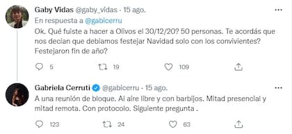 Gabriela Cerruti dijo que había ido a una reunión al aire libre