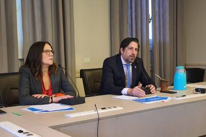 Gabriela Diker, secretaria de Evaluación e Información Educativa, junto con Nicolás Trotta, el ministro de Eduación, en la conferencia virtual; por el coronavirus, el 13 de marzo de 2020 fue el último día de clases en el nivel primario