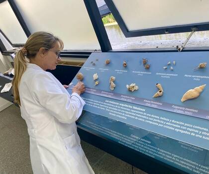 Gabriela Pujol en el Museo Municipal de Ciencias Naturales Lorenzo Scaglia.