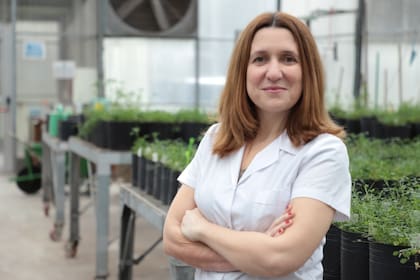 Gabriela Soto es bióloga y doctora en Ciencias Biológicas por la Facultad de Ciencias Exactas y Naturales de la Universidad de Buenos Aires