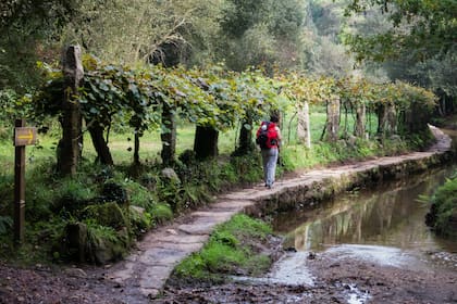 Galicia, la "esquina verde de España", ideal para las caminatas y la introspección