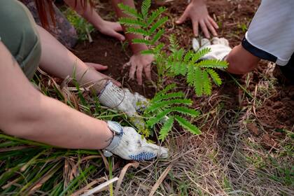 Galicia se convirtió en una empresa Carbono Neutral en 2022 y, en 2024, logró que todas las compañías del Grupo pasaron a ser también neutras en carbono.