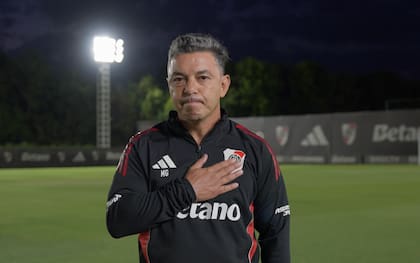 Gallardo aseguró que lo "invade el dolor" por no haber podido cumplir con los objetivos