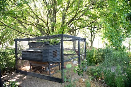 Gallinero adaptado a este rincón de sombra, bajo un árbol.