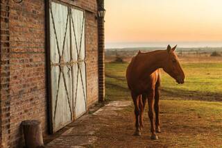 El respeto y los valores del estanciero criollo