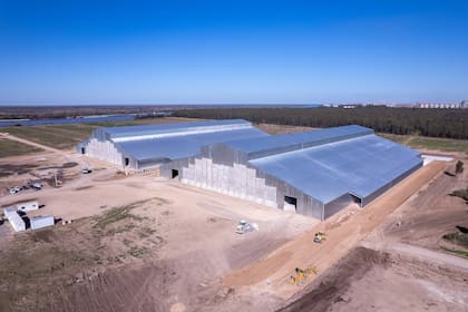 Galpones que tendrá la terminal portuaria multipropósito