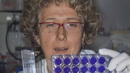 Gamarnik fue elegida por sus importantes descubrimientos sobre los mecanismos de multiplicación del virus del dengue