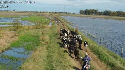 Vista de una de las cámaras de seguridad autónomas instalada para controlar el ganado.