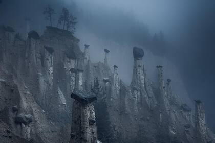 Ganadora del tercer puesto en la categoría "Naturaleza"
