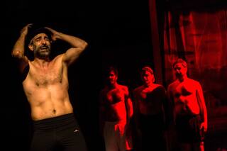 Gansos, interesante comedia de teatro físico