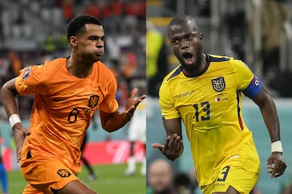 Gapko y Enner Valencia, goleadores del 1-1 entre Países Bajos y Ecuador