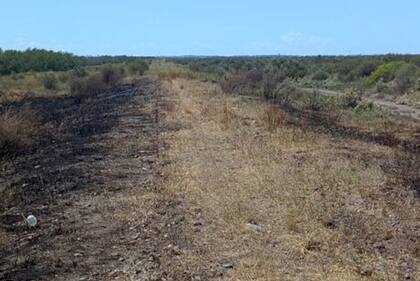 Garca haca poco haba anunciado que la concesin desde la Estacin Aguar hasta Viedma dara servicio de carga para mediados de marzo.