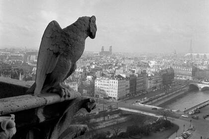 Gárgola en el techo de la Catedral de Notre-Dame en París, 23 de marzo de 1957.