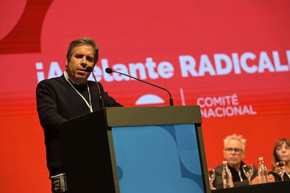 Gastón Manes, en la convención radical del año pasado
