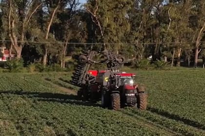 Gastón Ricardo: "Si producís, exportás y generás empleo, sos parte de la solución"