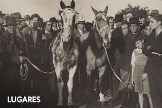 La hazaña de un profesor suizo con dos caballos criollos a principios del siglo XX