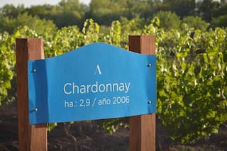 Son estadounidenses, llegaron en 2006 y eligieron armar su negocio en la Argentina