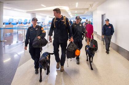 Gavin Newsom emitió una orden para enviar a 18 agentes locales a Texas para que se sumen a los equipos caninos de búsqueda y recuperación