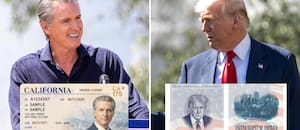Newsom se burla de Trump y anuncia una licencia de conducir de California con su foto
