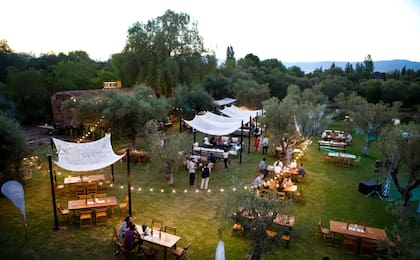 Gazebos y sillones en el parque de Bodega Trapiche, donde funciona el wine bar Estación 83