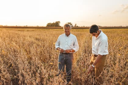 GDM Seeds, la empresa de Gerardo e Ignacio Bartolomé, hoy es líder en la Argentina y en Brasil