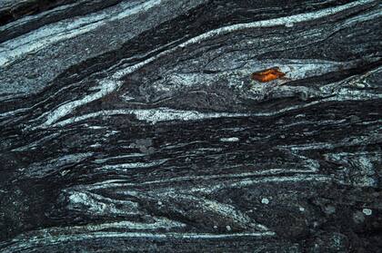 Florian Smit, GDT 2019. Categoría: Estudio de la Naturaleza