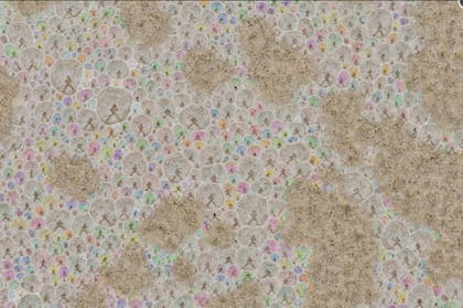 Kerstin Gumm, GDT 2019. Categoría: Estudio de la Naturaleza