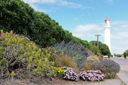 Geelong: la primera parada de la ruta en el muelle de la bahía Port Phillip