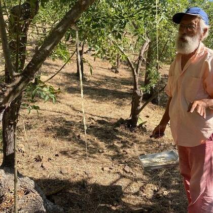 Gelardi desarrolló una forma nueva y más eficaz de recoger el maná.