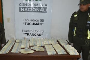 Detuvieron a un hombre que viajaba en colectivo de larga distancia con 159 millones de pesos sin declarar