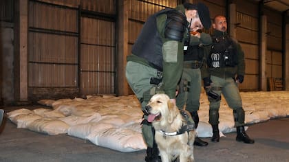 Gendarmes, un perro rastreador y arroz con droga
