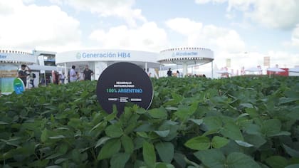 Generación HB4 es el programa de Bioceres que mitiga los efectos de la sequía en trigo y soja.