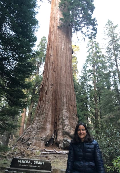 General Grant, el árbol más importante de Kings Canyon